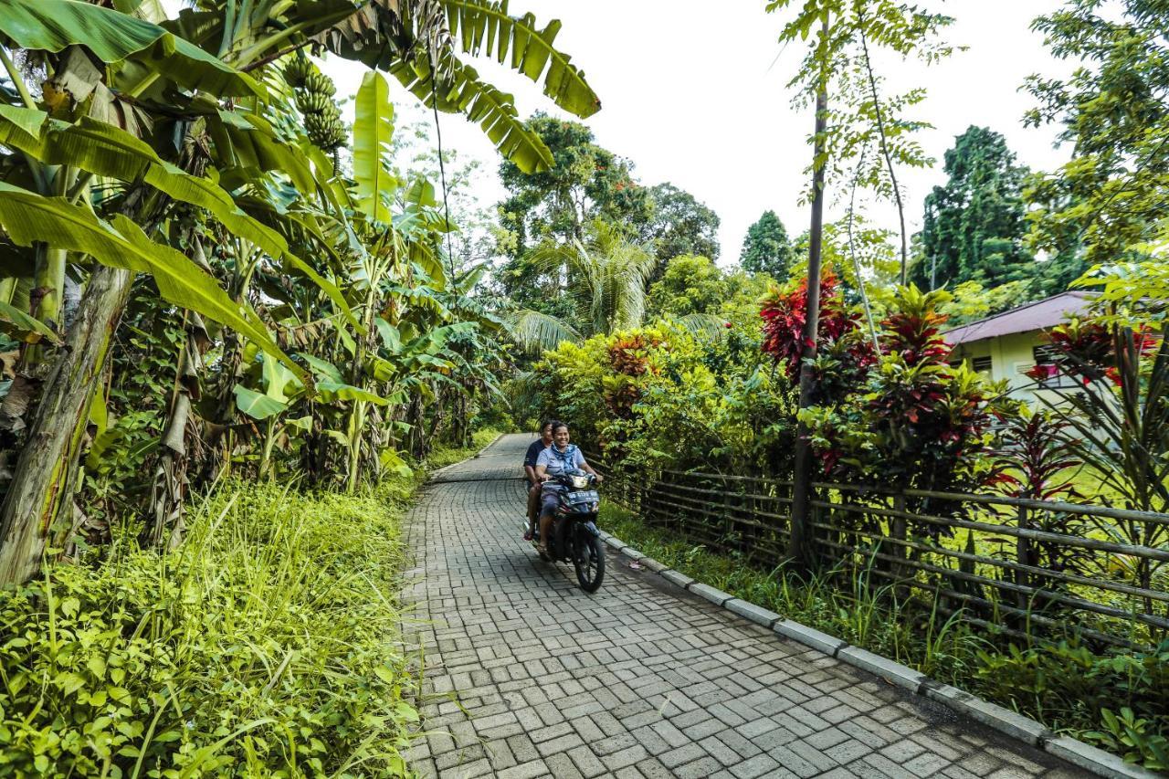 The Village Bunaken Ngoại thất bức ảnh
